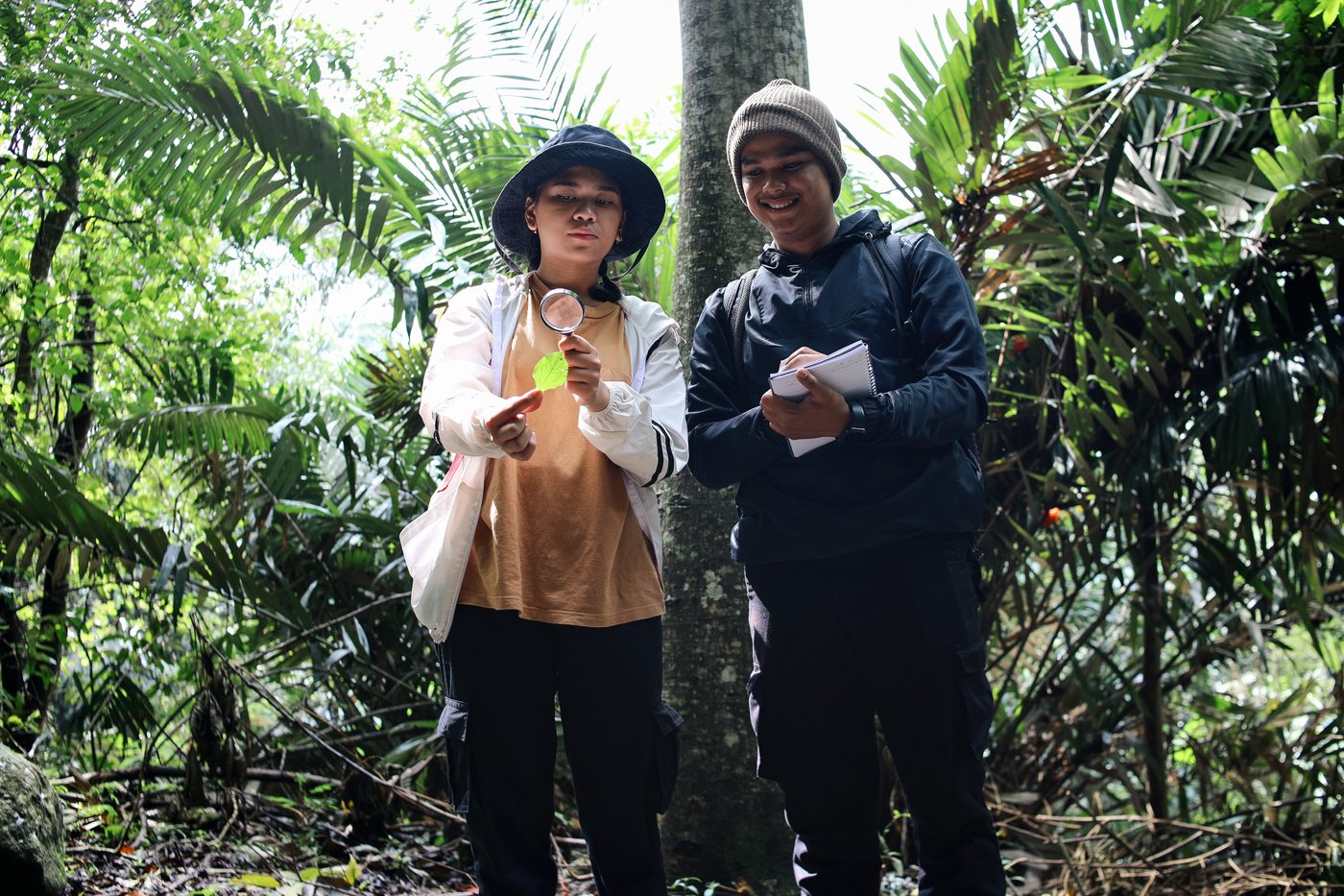 Researchers in forest
